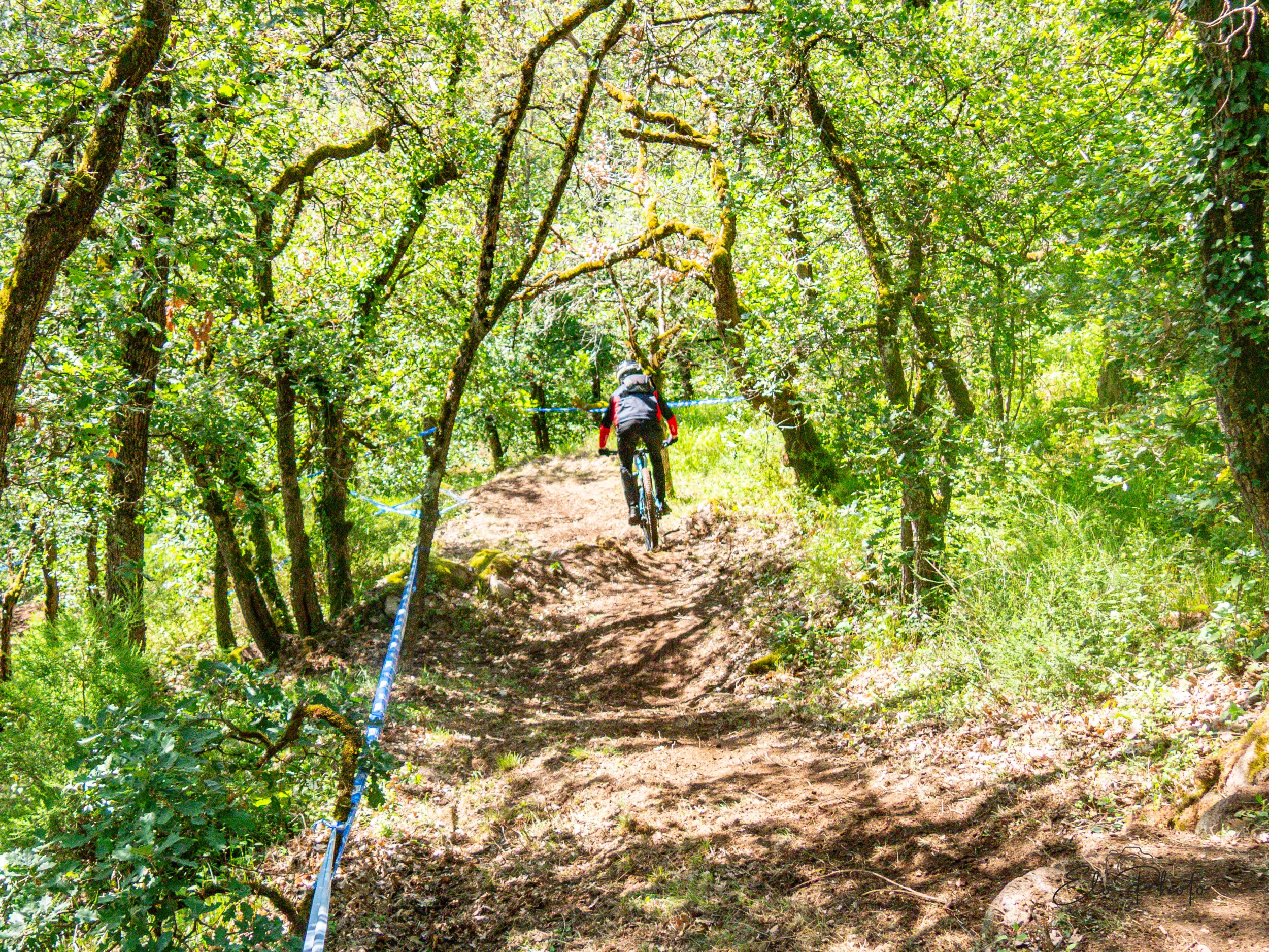 Photo VTT – cliquer pour agrandir